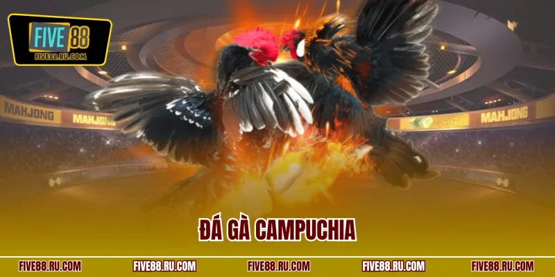 Đá gà Campuchia
