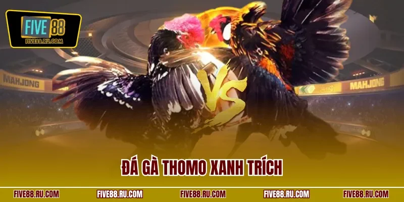 Đá gà thomo xanh trích