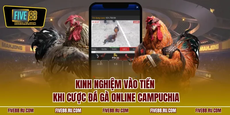Kinh nghiệm vào tiền khi cược đá gà online Campuchia
