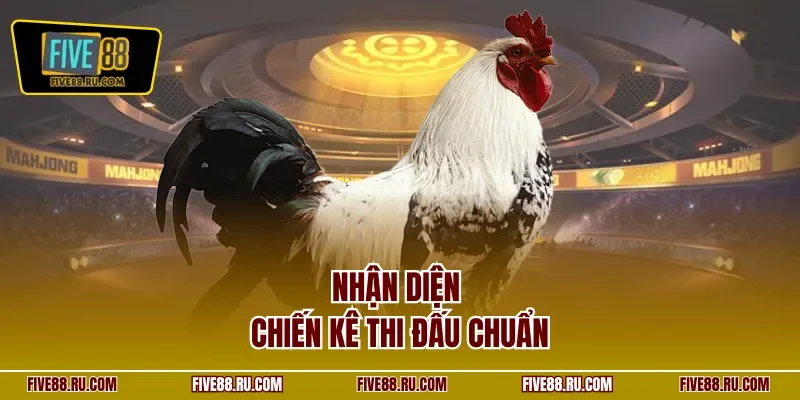 Nhận diện chiến kê thi đấu chuẩn