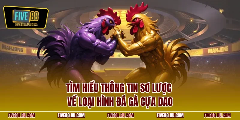 Tìm hiểu thông tin sơ lược về loại hình đá gà cựa dao