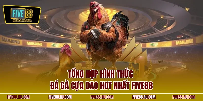 Tổng hợp hình thức đá gà cựa dao hot nhất FIVE88