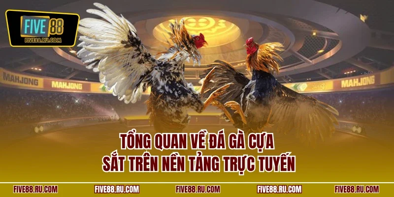 Tổng quan về đá gà cựa sắt trên nền tảng trực tuyến
