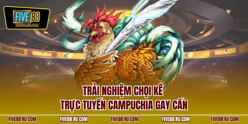 Trải nghiệm chọi kê trực tuyến Campuchia gay cấn